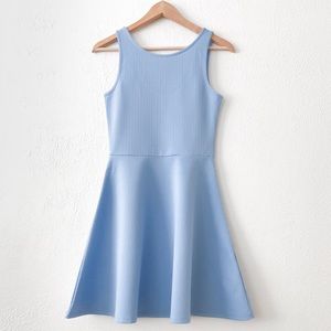Periwinkle Blue Jacquard Sleeveless Skater Dress